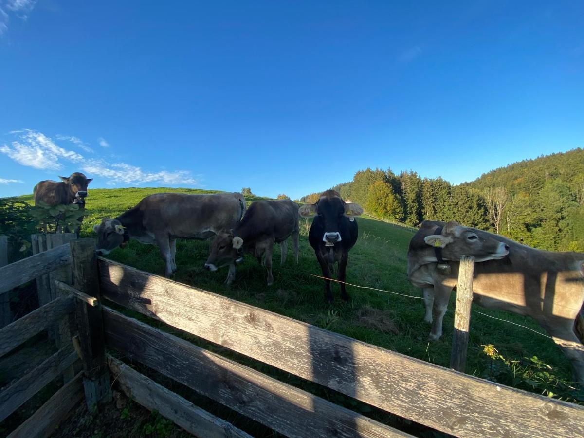 Ferienwohnung Bergblick Wangen Im Allgaeu Mit Garten, 2022 Komplett Renoviert Exterior photo